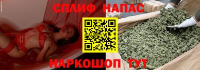apvp Краснодар