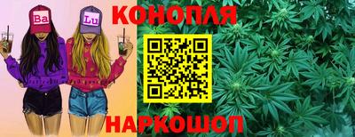 apvp Краснодар