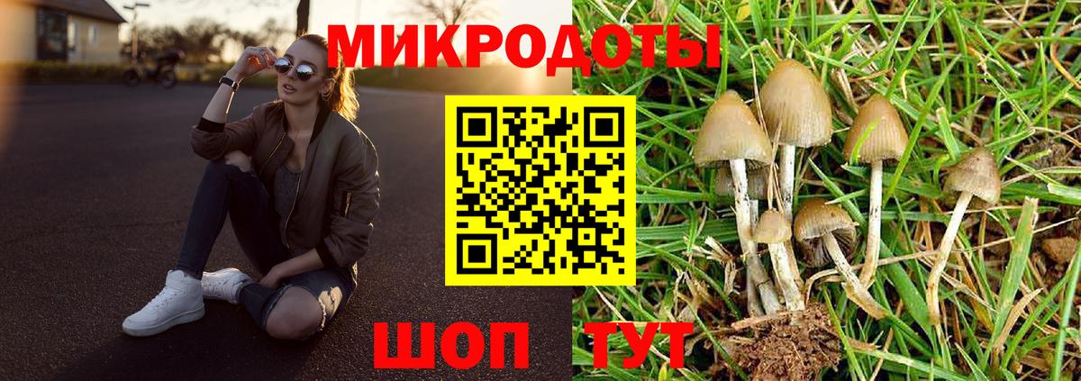 Галлюциногенные грибы Cubensis  Вход с VPN  закладка  Урай  Галлюциногенные грибы Psilocybine cubensis 